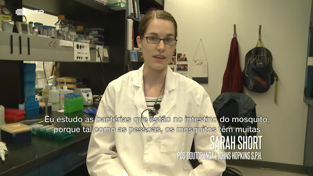 Imagem de A Minha Tese - Raúl Saraiva