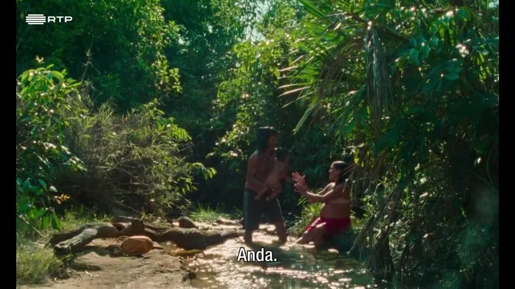 Imagem de A Flor do Buriti