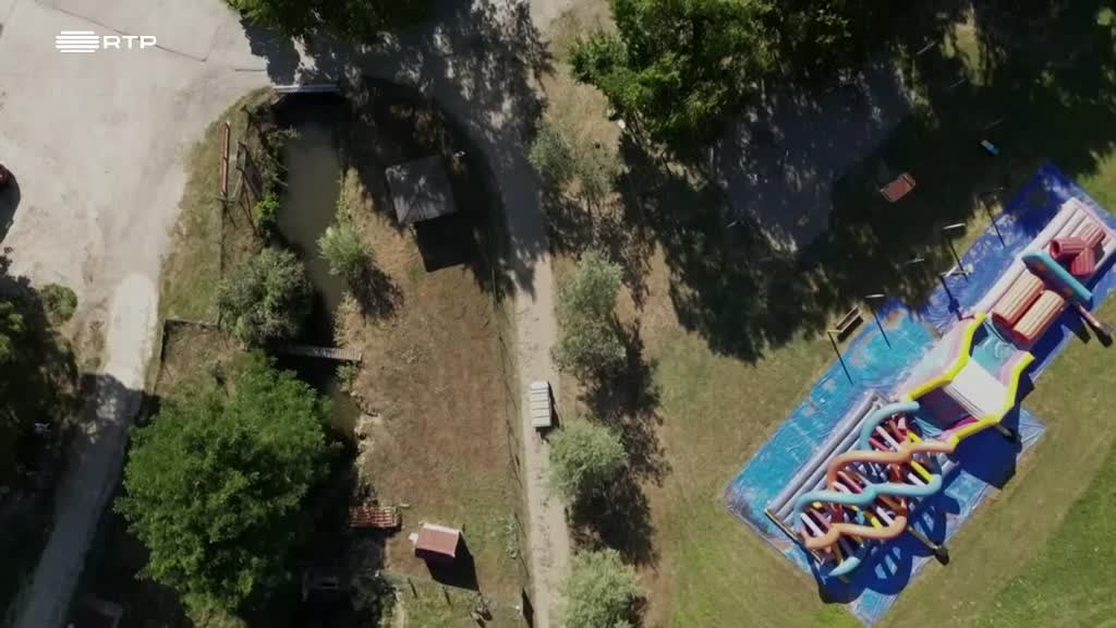 Imagem de Homo Animalis: Uma Espécie Peculiar