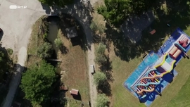 Imagem de Homo Animalis: Uma Esp�cie Peculiar