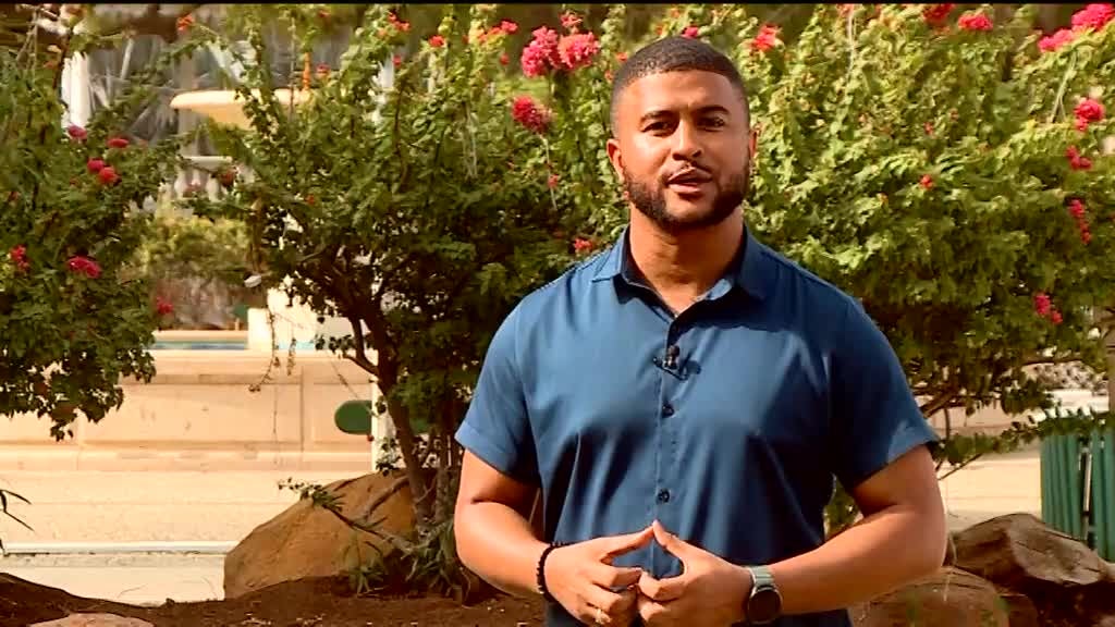 Imagem de Artes & Espetáculos