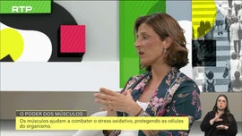 Imagem de O Poder dos M�sculos