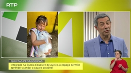 Imagem de Quintas Pedag�gicas