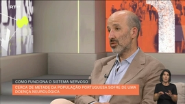 Imagem de Como Funciona o Sistema Nervoso