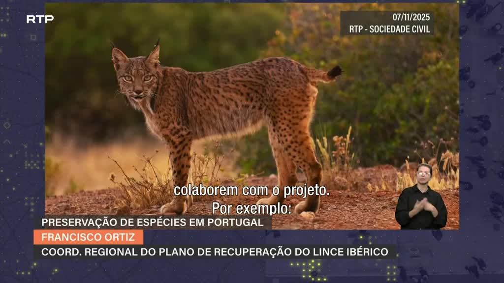 Imagem de Sociedade Civil - Preservação de Espécies em Portugal