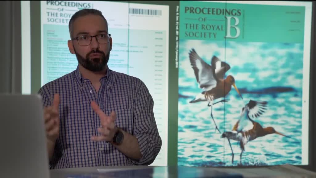 Imagem de Folha de Sala