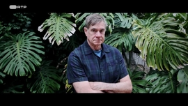 Imagem de Janela Indiscreta