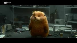 Imagem de Janela Indiscreta