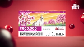 Imagem de Hora da Sorte - Lotaria Cl�ssica