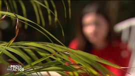 Imagem de A Prova dos Factos