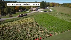 Imagem de Hora dos Portugueses