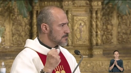 Imagem de Madeira: IX Domingo do Tempo Comum