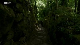 Imagem de As Contrabandistas