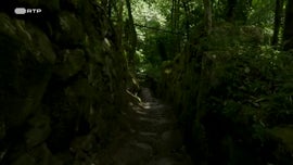 Imagem de As Contrabandistas