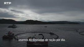 Imagem de Mar Prometido