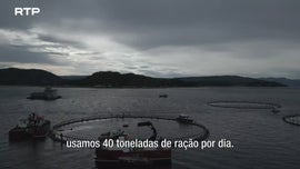Imagem de Mar Prometido