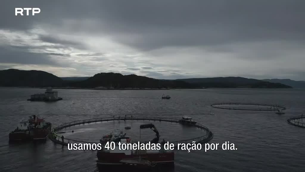 Imagem de Linha da Frente - Mar Prometido