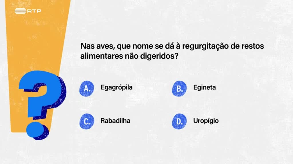 Imagem de Sempre a Tempo