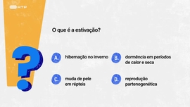 Imagem de Sempre a Tempo