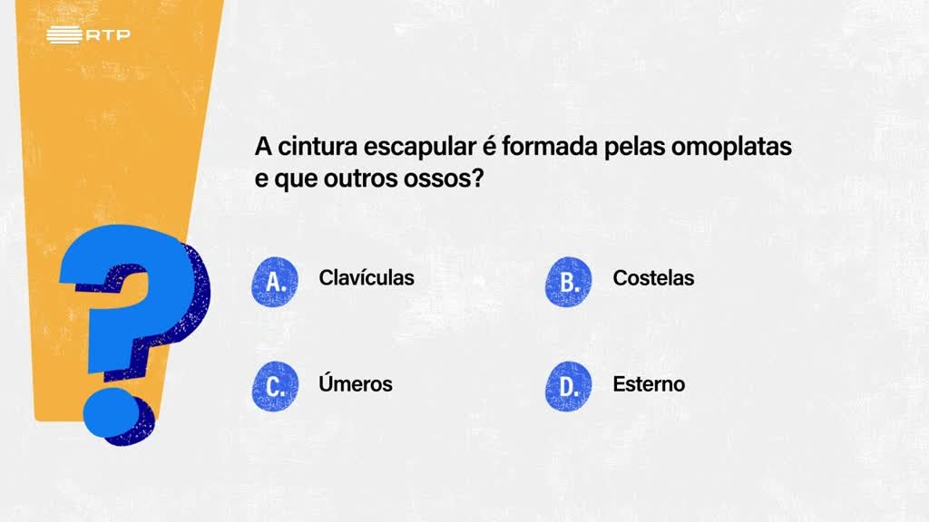 Imagem de Sempre a Tempo