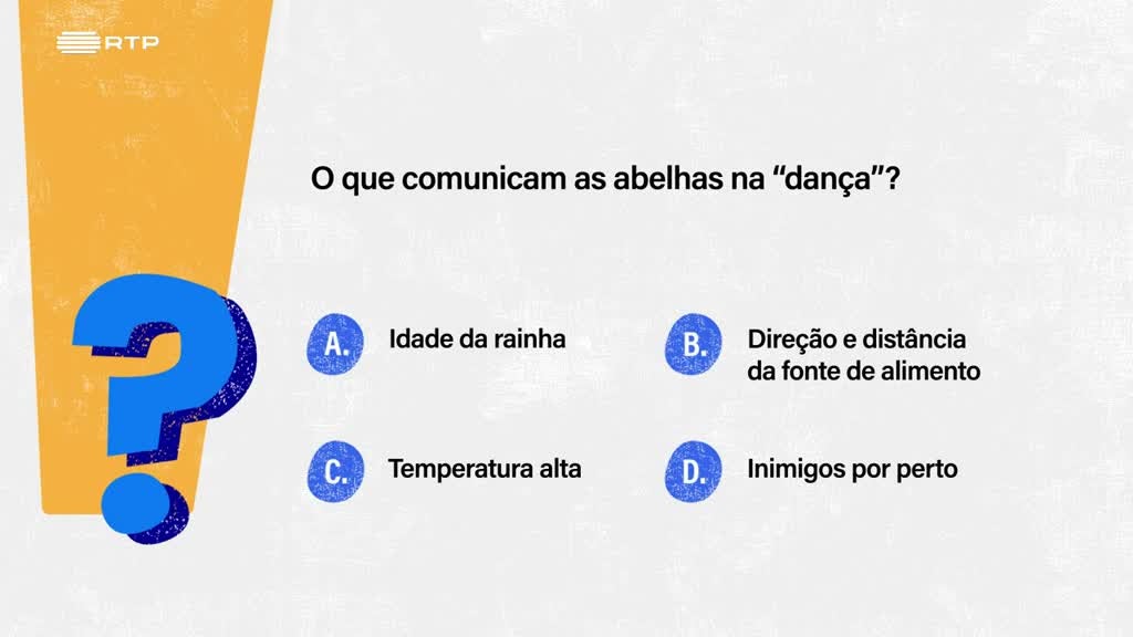 Imagem de Sempre a Tempo