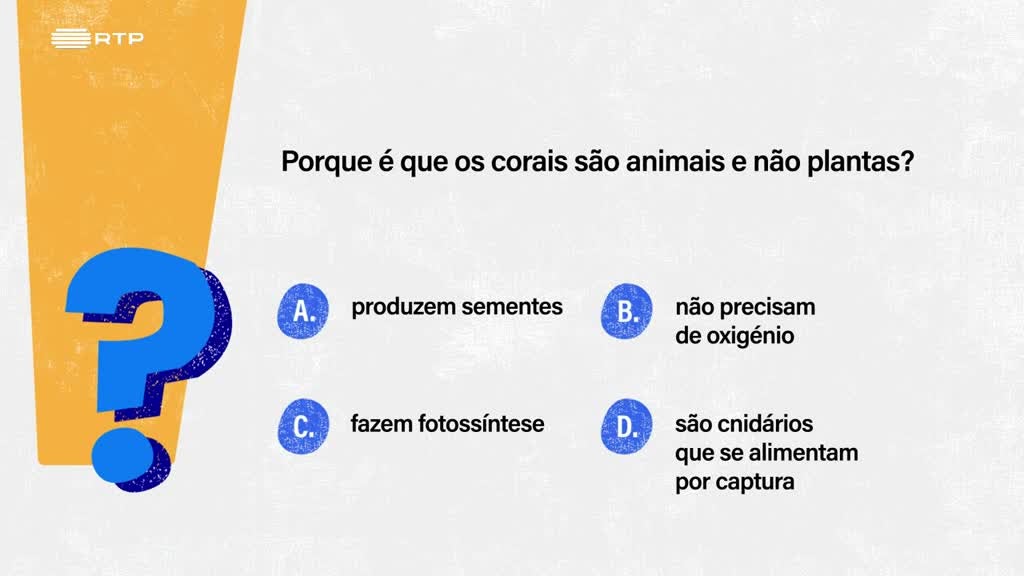 Imagem de Sempre a Tempo