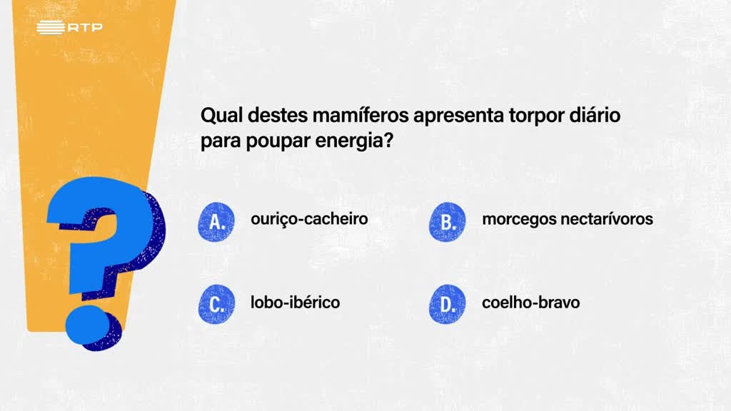 Imagem de Sempre a Tempo