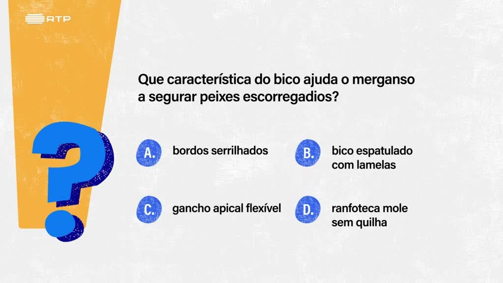 Imagem de Sempre a Tempo