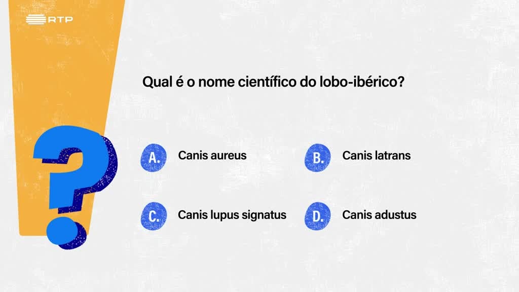 Imagem de Sempre a Tempo