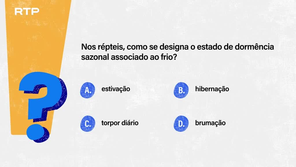 Imagem de Sempre a Tempo