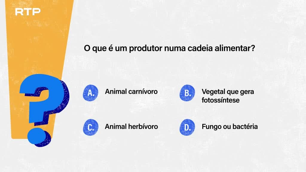 Imagem de Sempre a Tempo