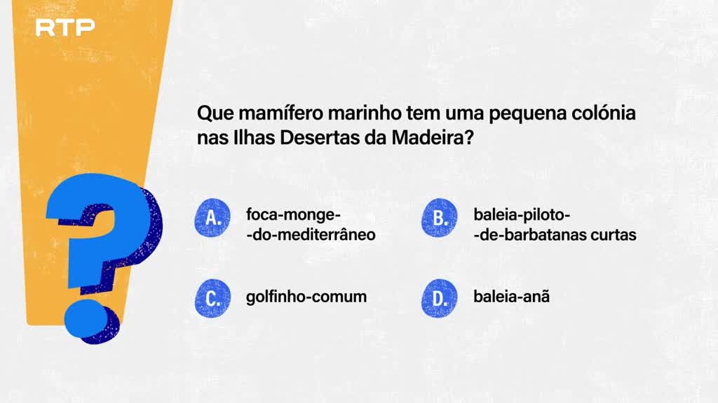 Imagem de Sempre a Tempo