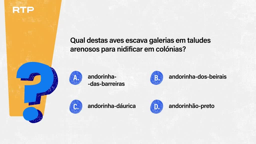 Imagem de Sempre a Tempo