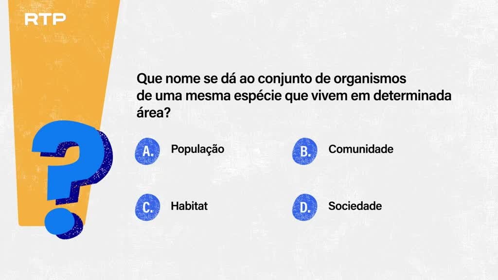 Imagem de Sempre a Tempo
