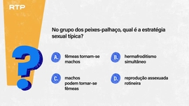 Imagem de Sempre a Tempo