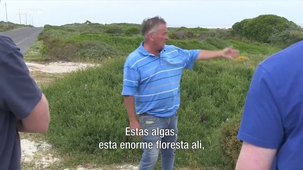 Imagem de África Global