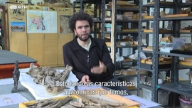 Imagem de �frica Global