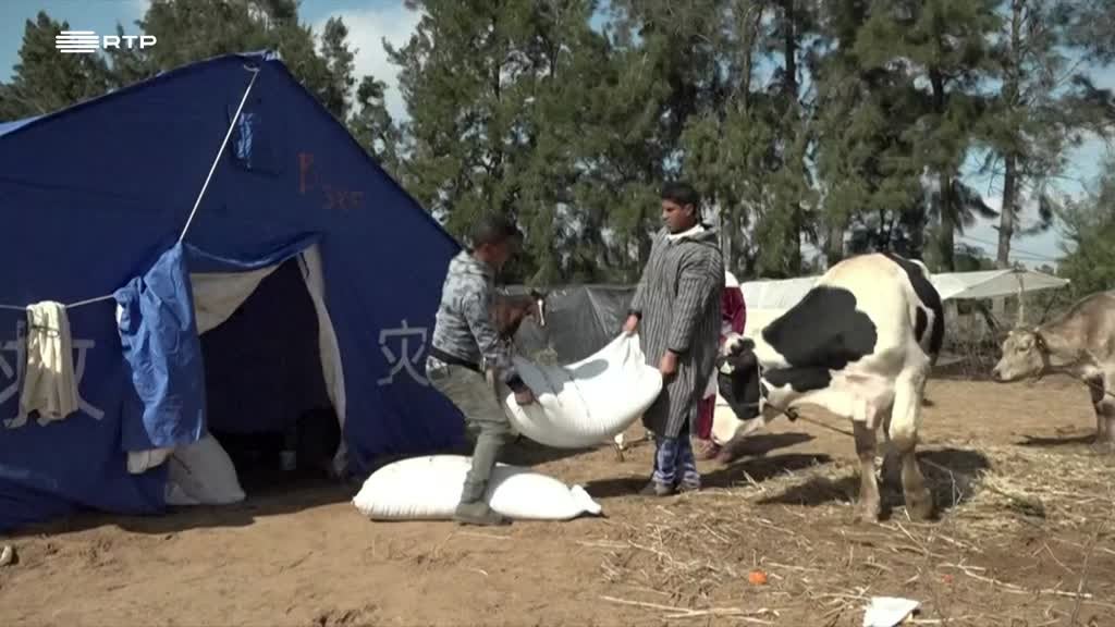 Imagem de África Global