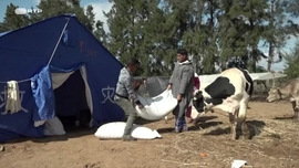 Imagem de �frica Global