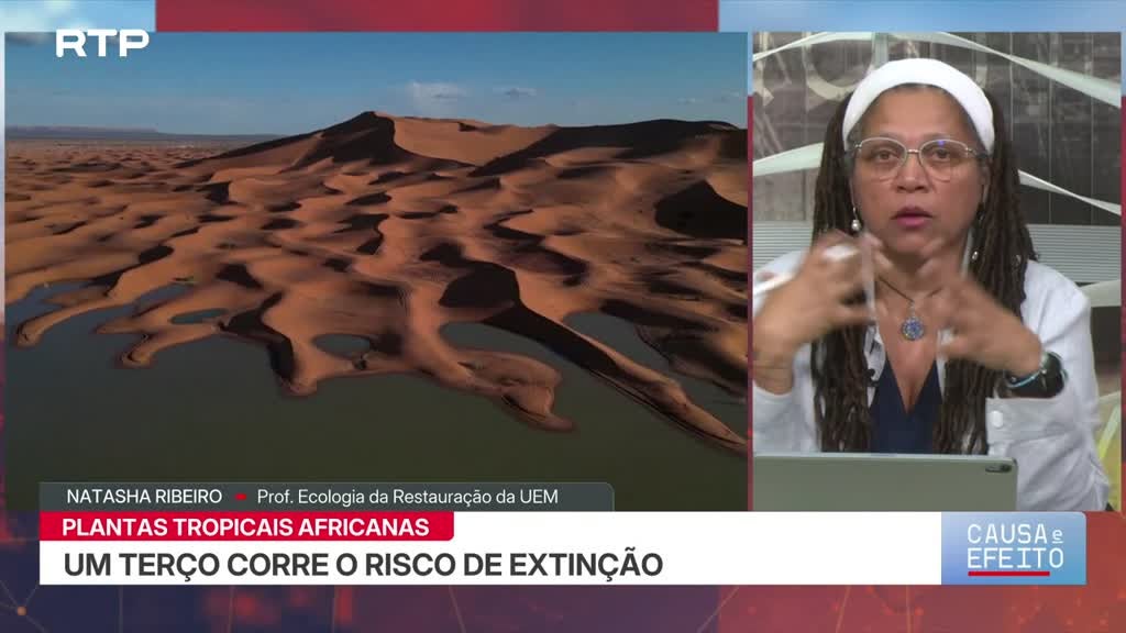 Imagem de Causa e Efeito - Biodiversidade em África