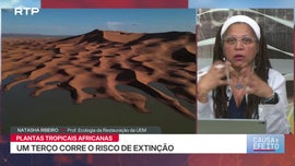 Imagem de Biodiversidade em �frica