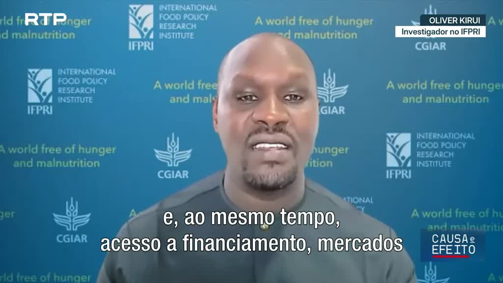 Imagem de Causa e Efeito - Agricultura em África