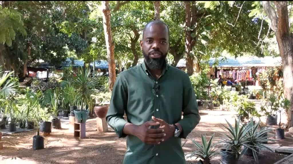 Imagem de Músicas d´África