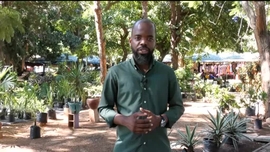 Imagem de M�sicas d��frica