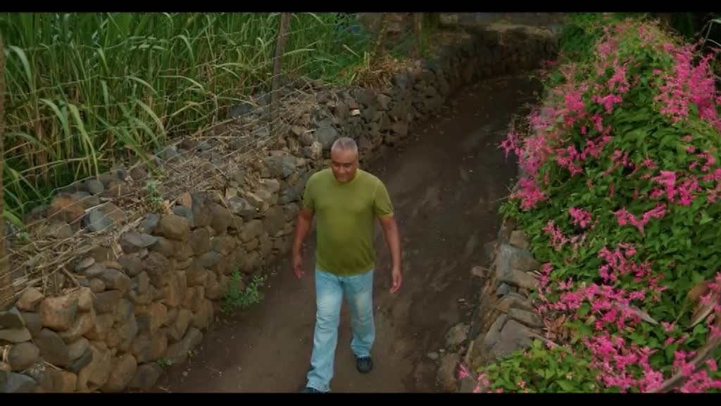 Imagem de Músicas d´África - Especial Mário Mata (1972-2026)