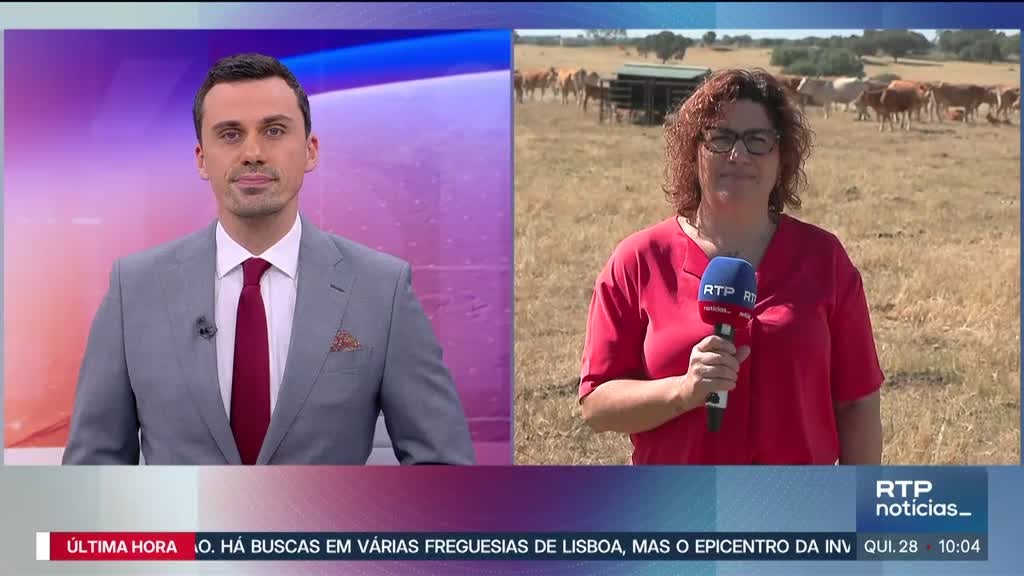 Imagem de Notícias 10