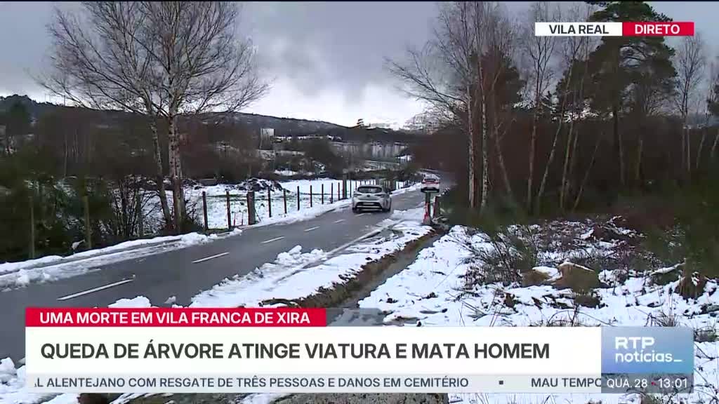 Imagem de Notícias 13