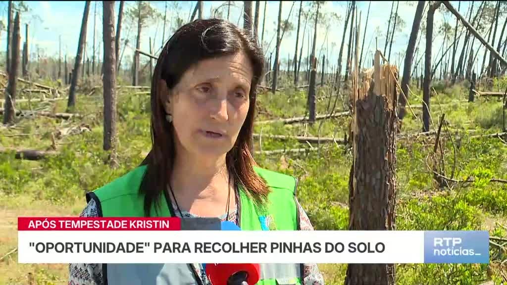 Imagem de Notícias 14