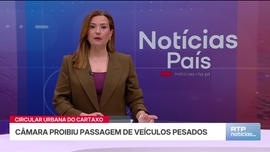 Imagem de Not�cias 14