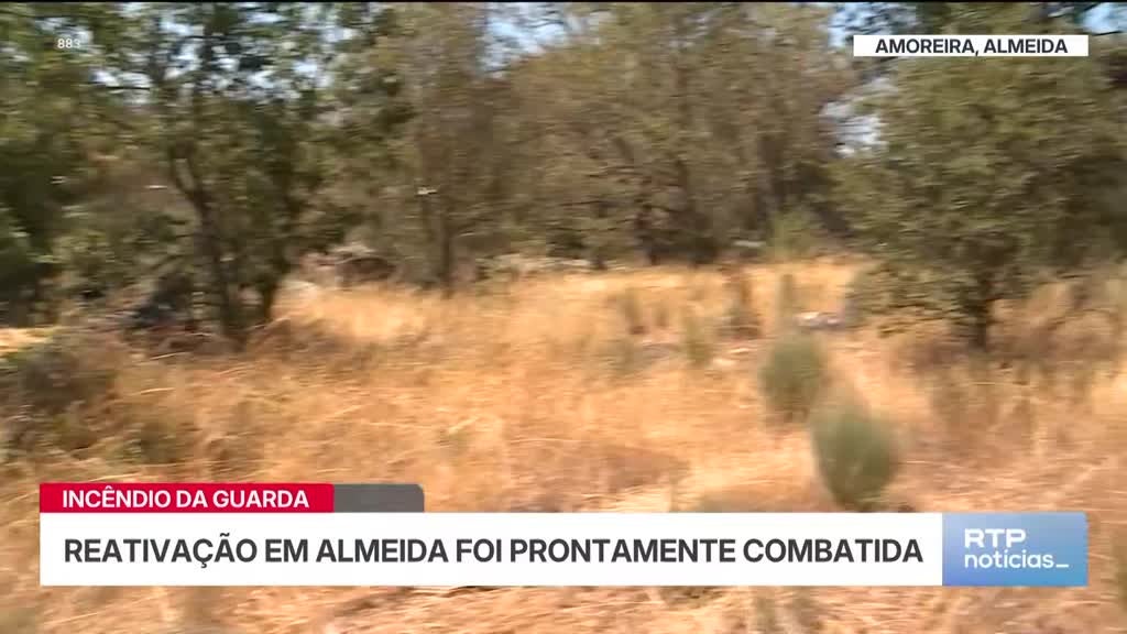 Imagem de Notícias 14